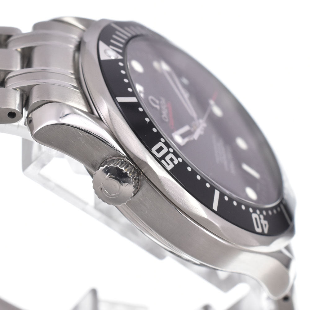 Omega Seamaster Professional Diver 300M Chronometer Automatic Stainless Steel Watch (Pre-Owned)