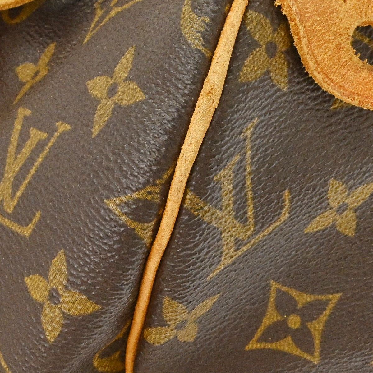 Louis Vuitton Speedy Monogram Canvas Brown Canvas Handbag (Pre-Owned)