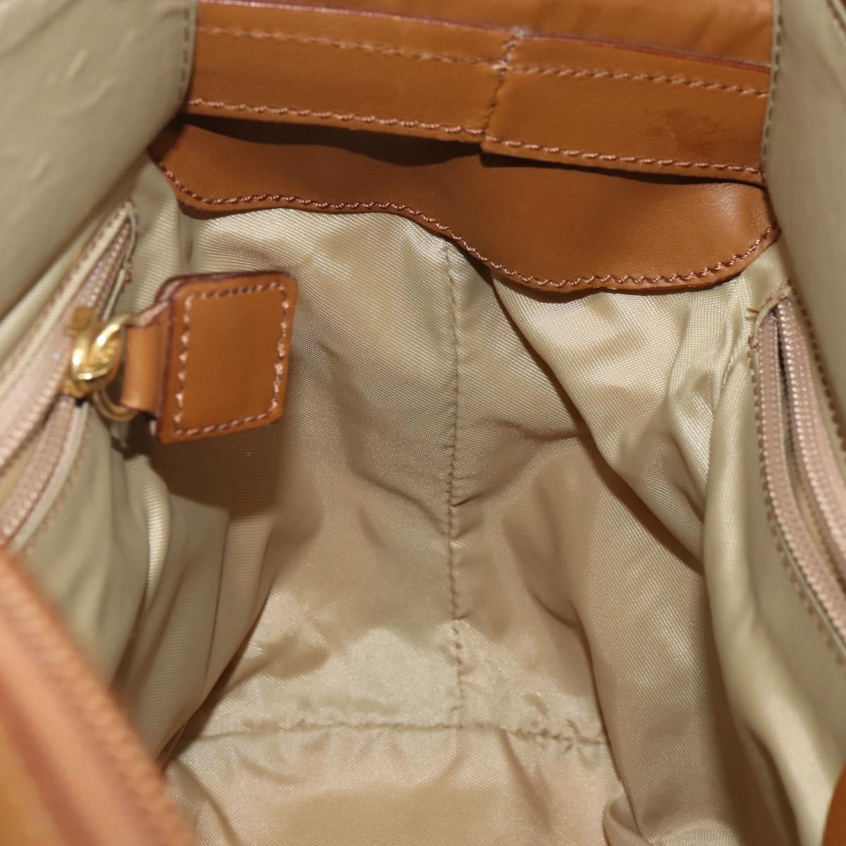 Celine Tote Nylon Brown Nylon Tote Bag Bag (Pre-Owned)