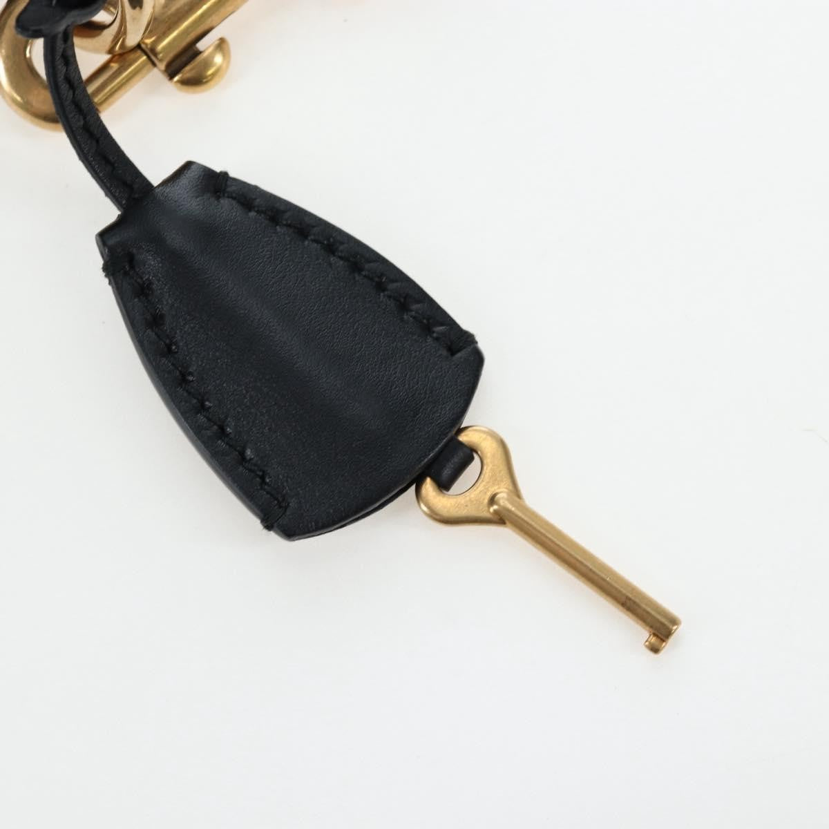 Christian Dior Dioraddict Lockbox Printed Leather Black Leather Shoulder Bag Bag (Pre-Owned)