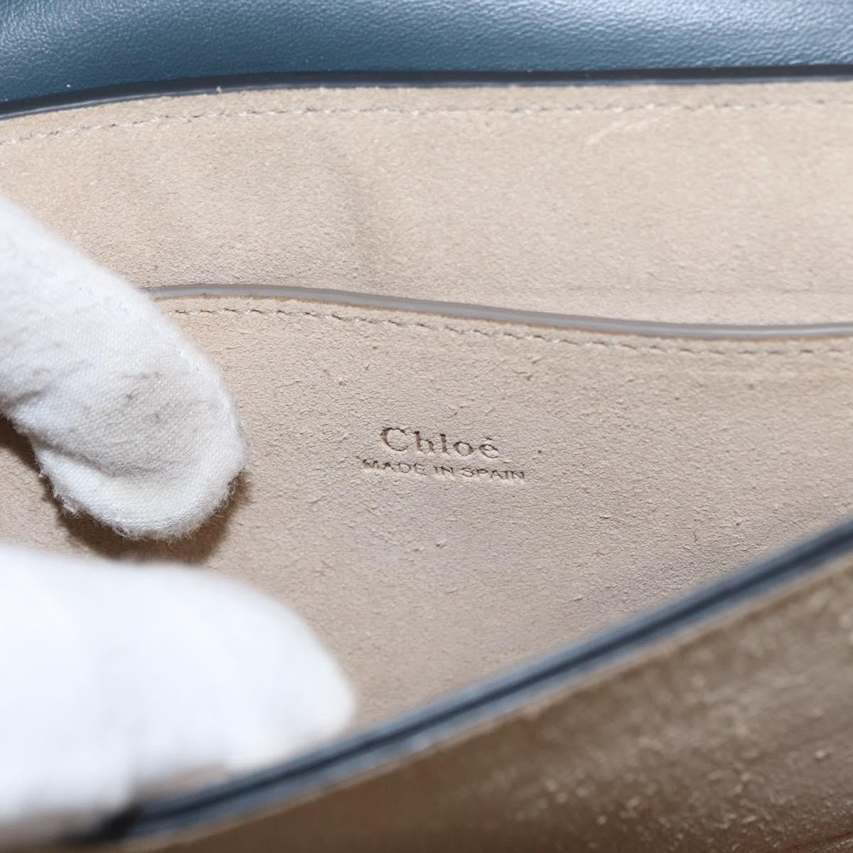 Chloe Faye Leather And Suede Green Suede Bag (Pre-Owned)
