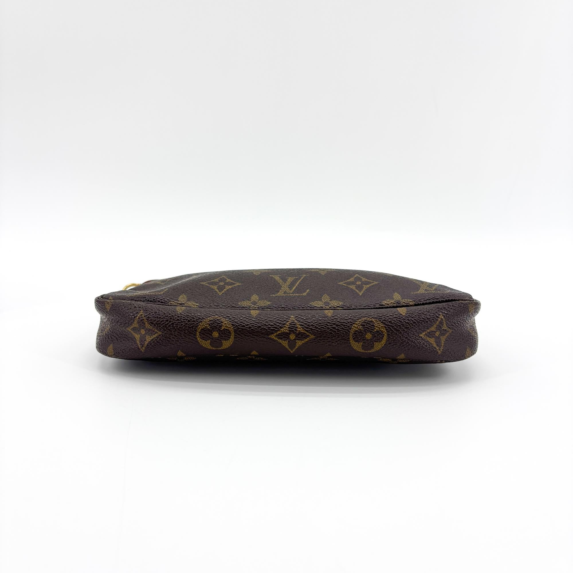 Louis Vuitton Pochette Accessoires Monogram Canvas Brown Canvas Clutche & Pouche Bag (Pre-Owned)