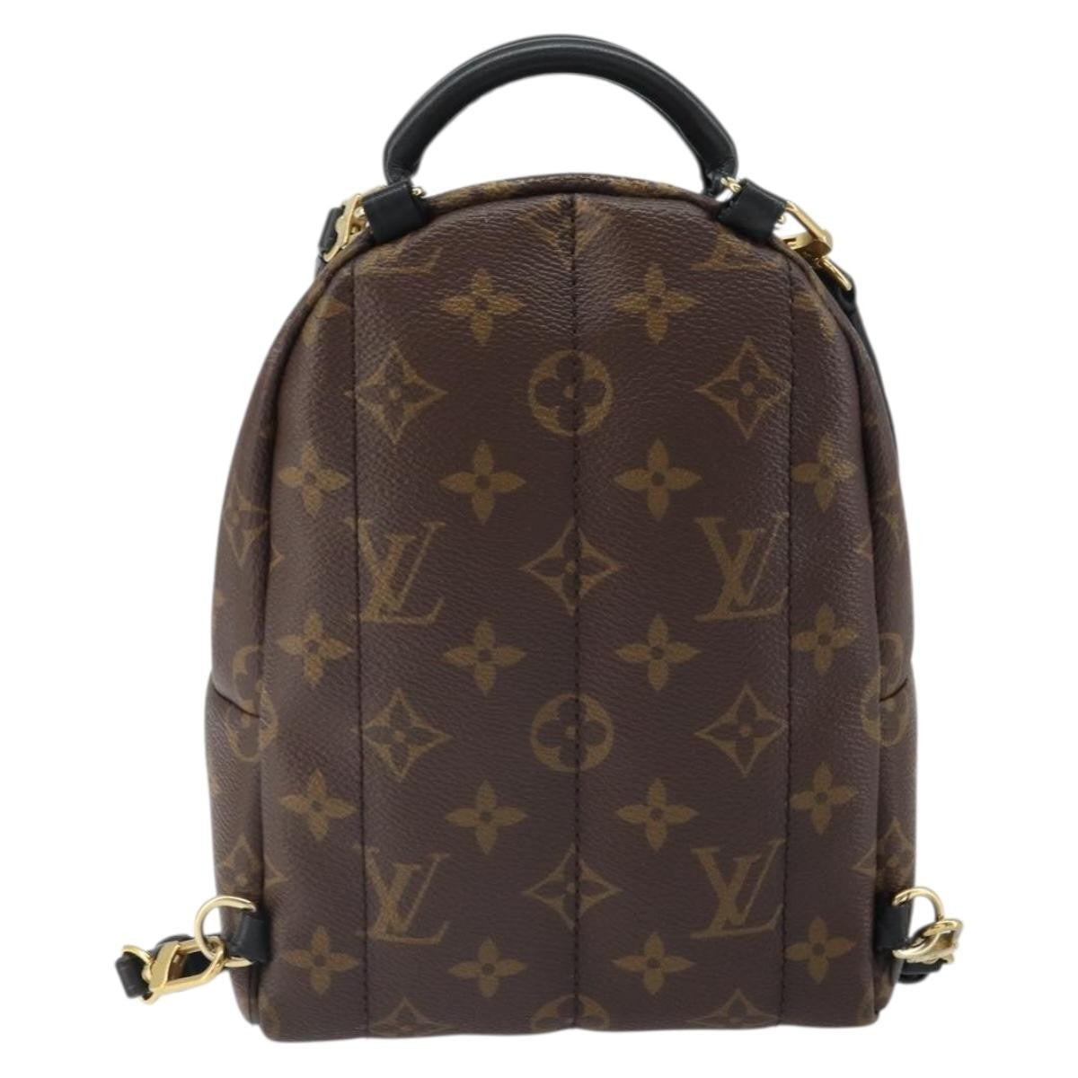 Louis Vuitton Palm Springs Monogram Canvas Brown Canvas Backpack Bag (Pre-Owned)