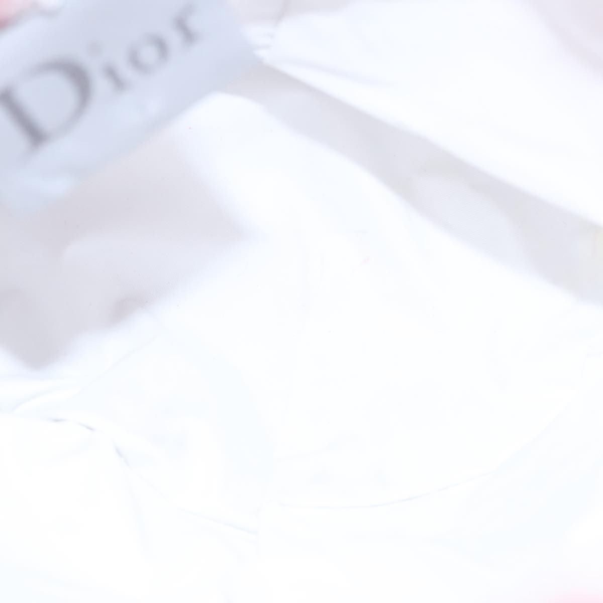 Christian Dior Trotter Clutch Trotter Canvas Pink Canvas Clutche & Pouche Bag (Pre-Owned)