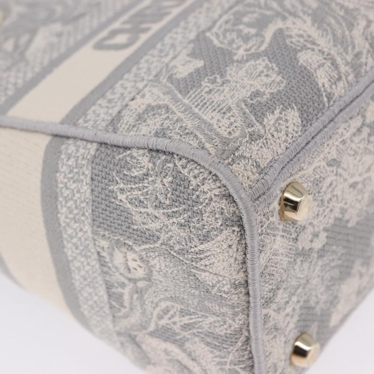 Christian Dior Lady Dior Embroidered Canvas Gray Canvas Handbag (Pre-Owned)