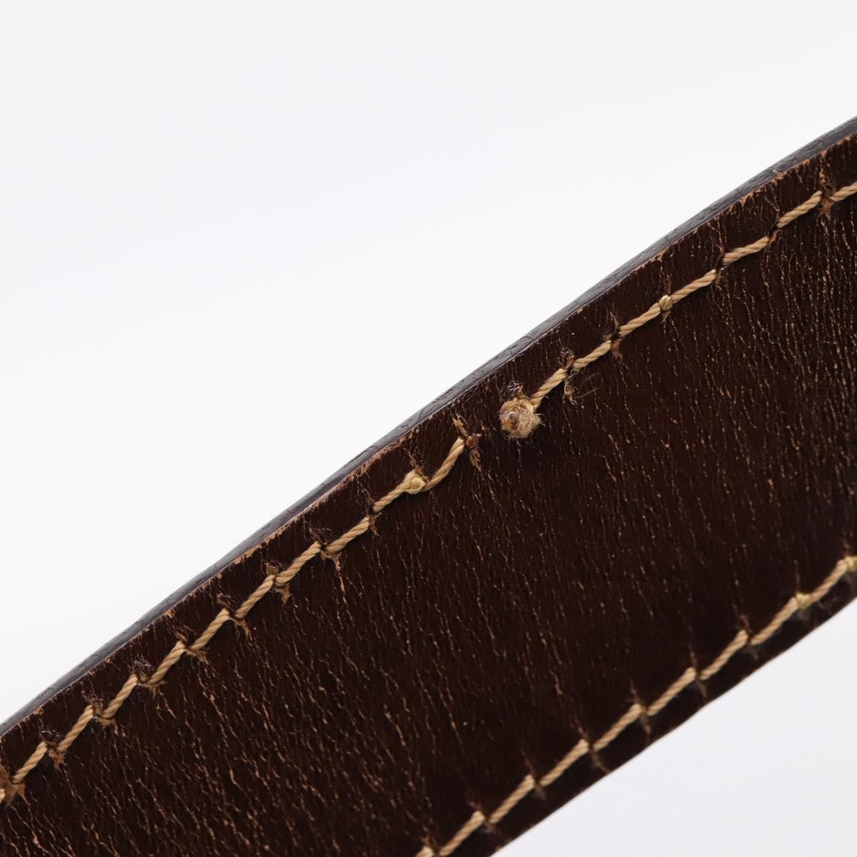 Fendi Shoulder Bag Zucca Brown Canvas Shoulder Bag Bag (Pre-Owned)