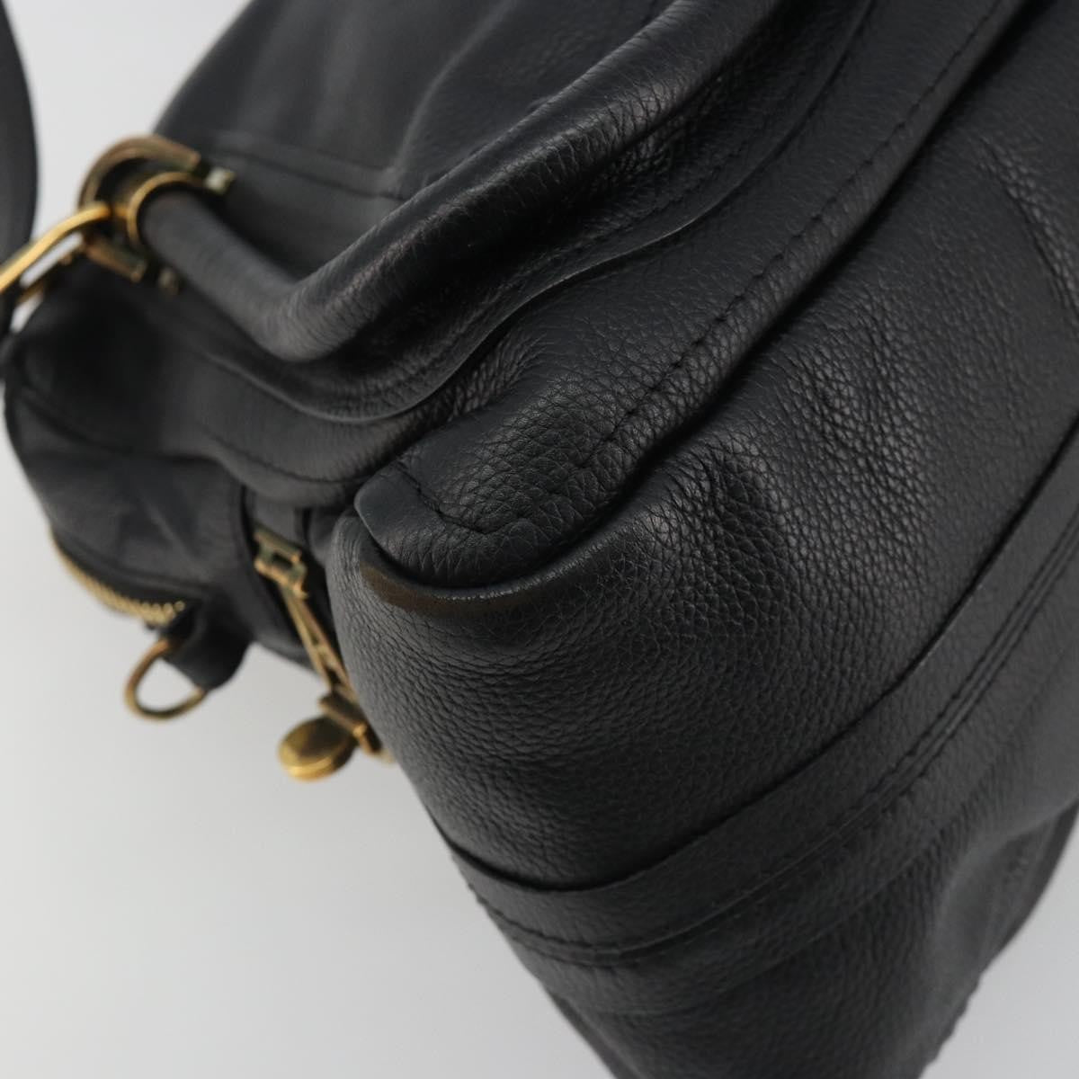 Chloe Paraty Quilted Leather Black Leather Handbag (Pre-Owned)