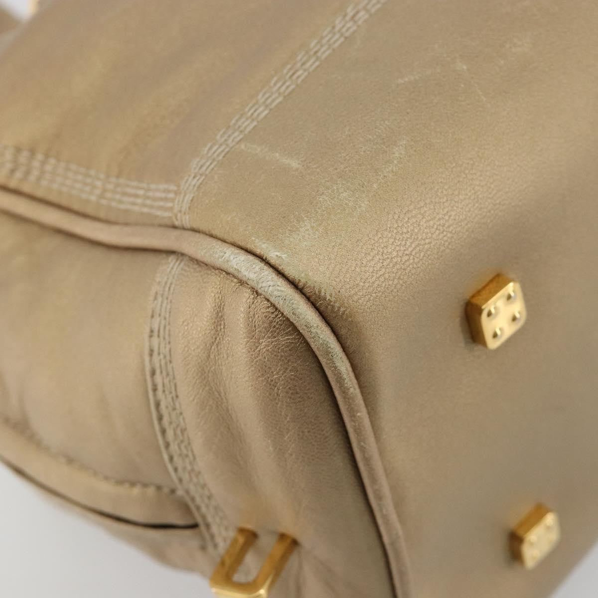 Loewe Amazona Leather Gold Leather Handbag (Pre-Owned)