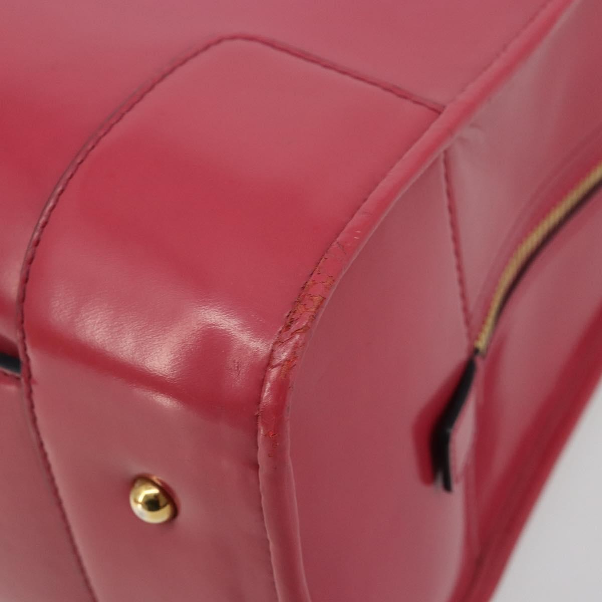 Loewe Amazona Patent Pink Patent_Leather Handbag (Pre-Owned)