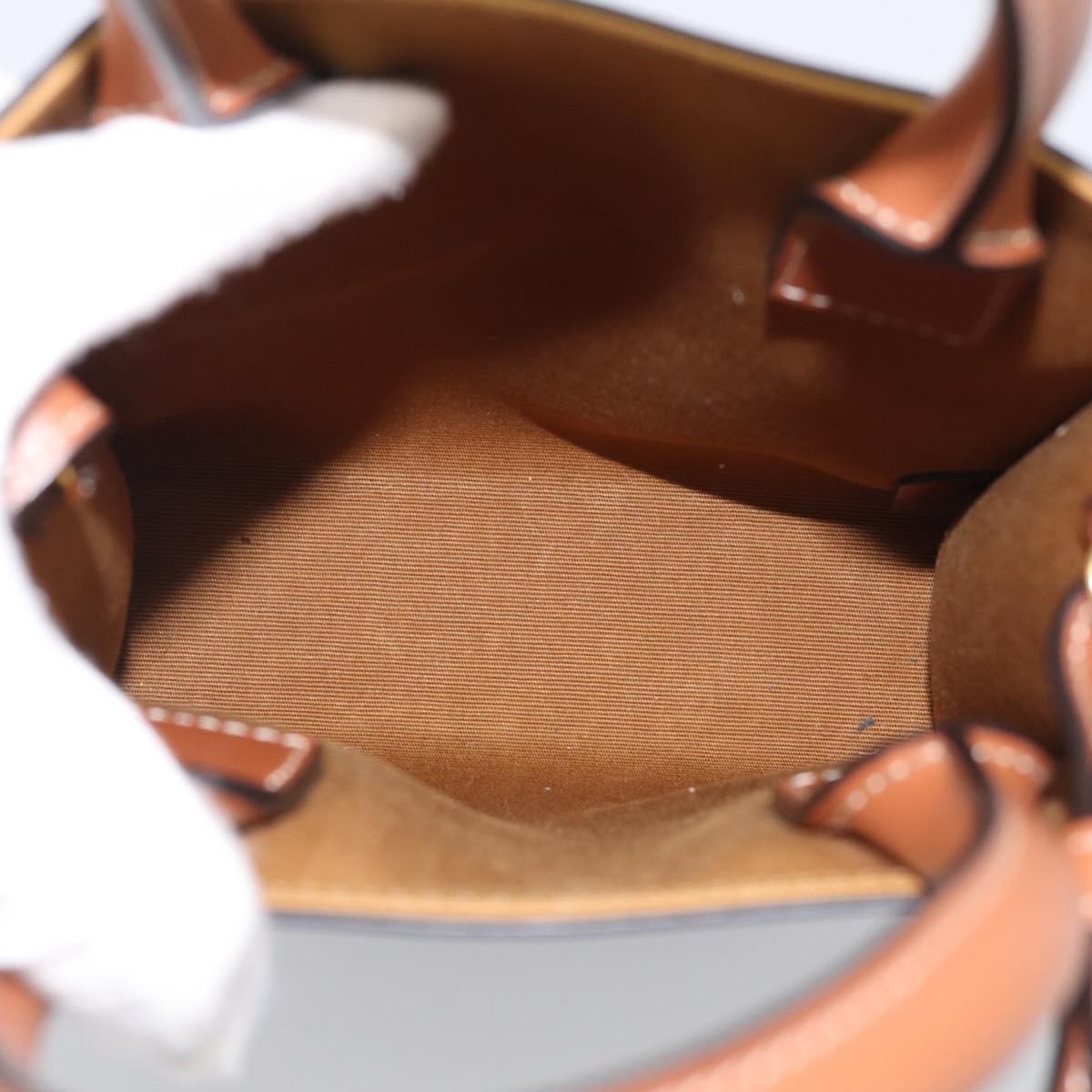 Celine Vertical Cabas Triomphe Coated Canvas Brown Canvas Tote Bag Bag (Pre-Owned)