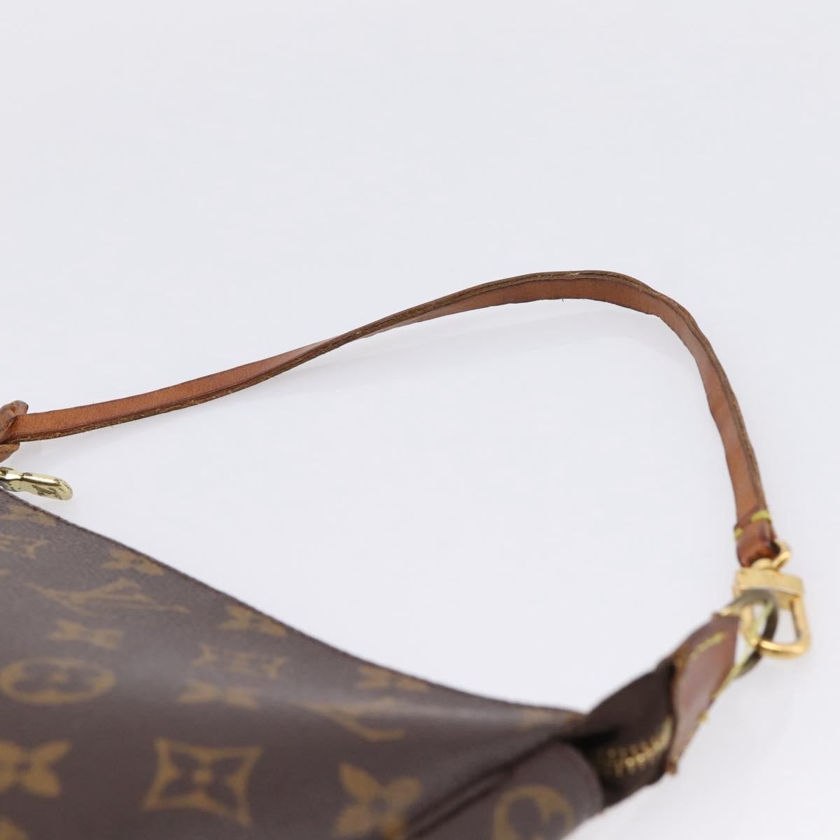 Louis Vuitton Pochette Accessoires Nm Monogram Canvas Brown Canvas Clutche & Pouche Bag (Pre-Owned)