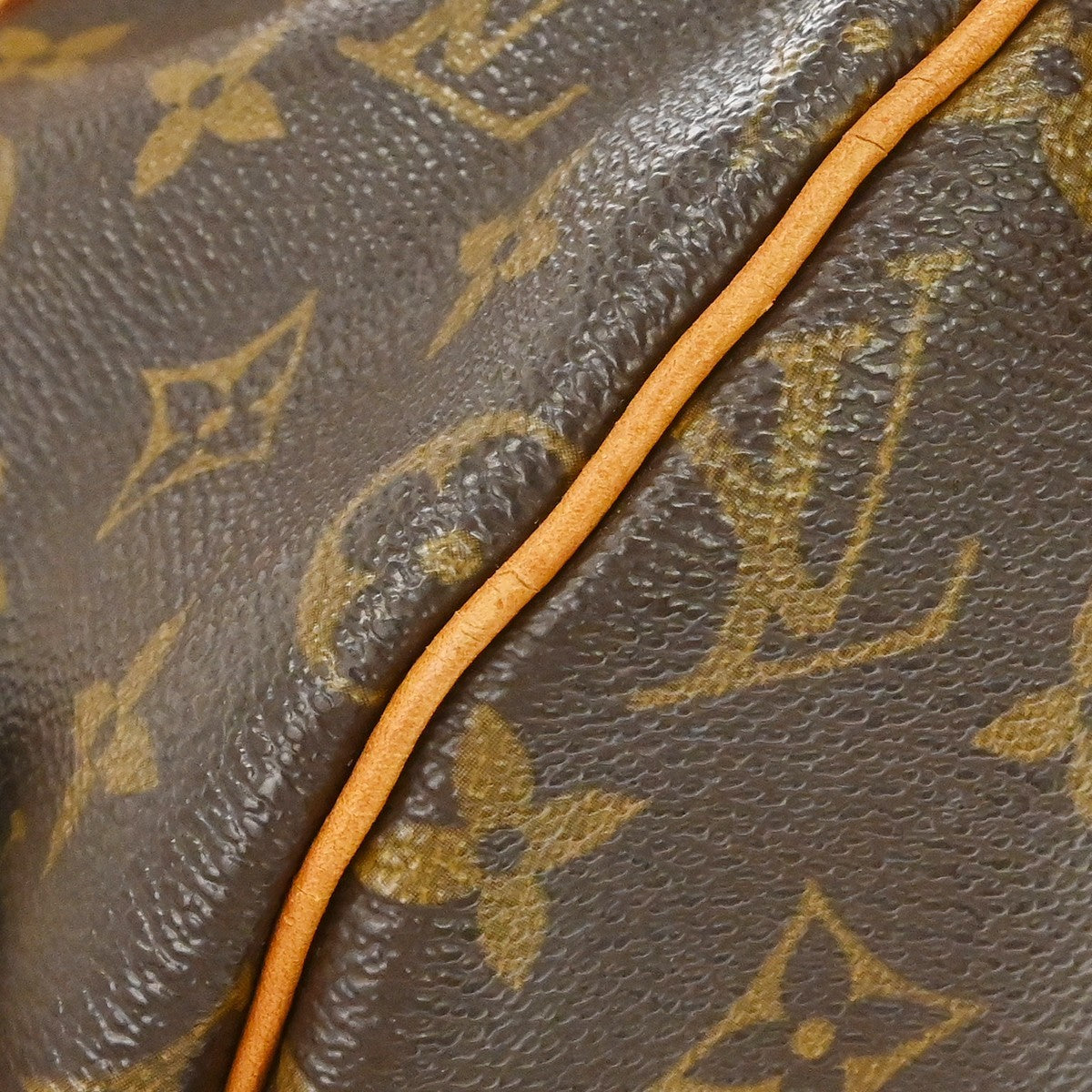 Louis Vuitton Speedy Monogram Canvas Brown Canvas Handbag (Pre-Owned)