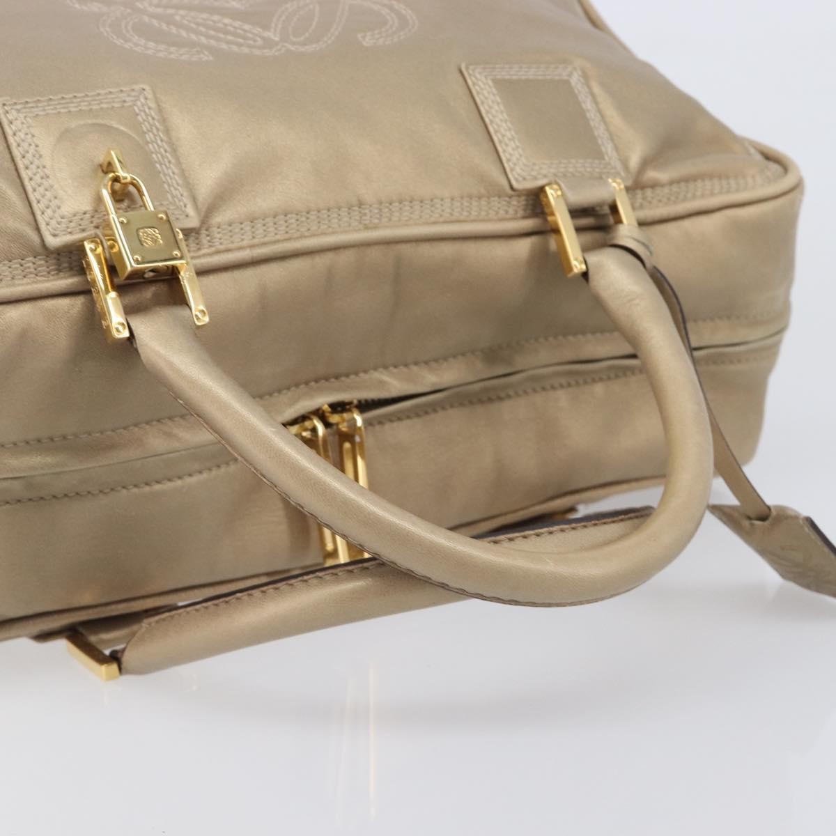 Loewe Amazona Leather Gold Leather Handbag (Pre-Owned)