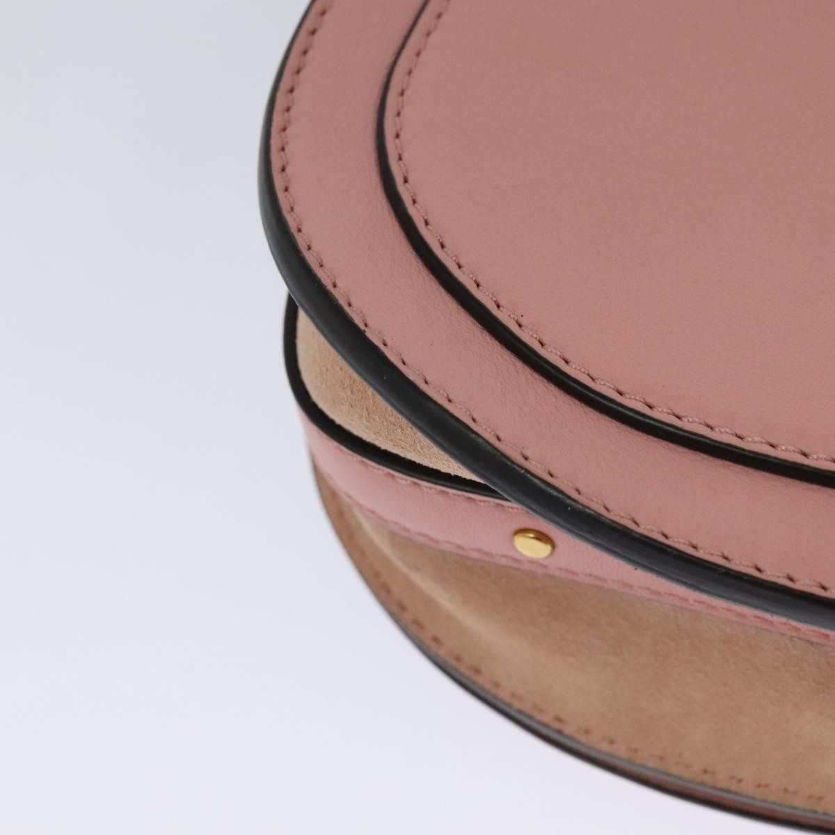 Chloe Nile Leather Pink Leather Handbag (Pre-Owned)