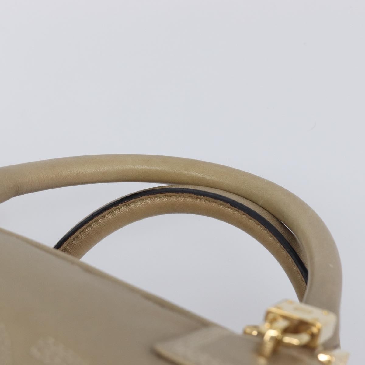 Loewe Amazona Leather Gold Leather Handbag (Pre-Owned)