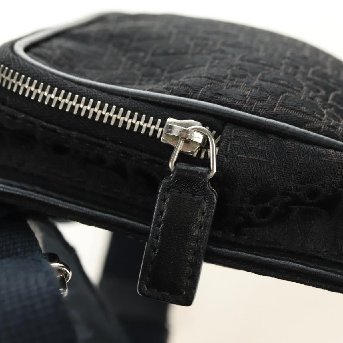 Christian Dior Vintage Street Chic Belt Diorissimo Canvas Black Canvas Handbag (Pre-Owned)