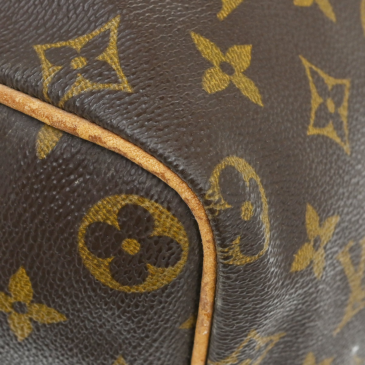 Louis Vuitton Speedy Monogram Canvas Brown Canvas Handbag (Pre-Owned)