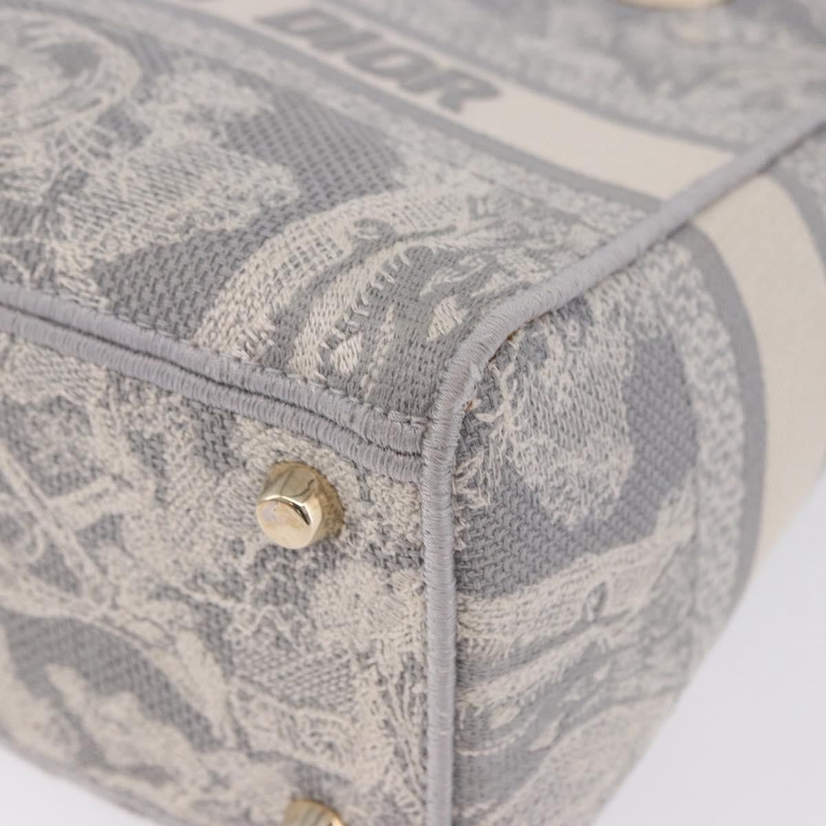 Christian Dior Lady Dior Embroidered Canvas Gray Canvas Handbag (Pre-Owned)