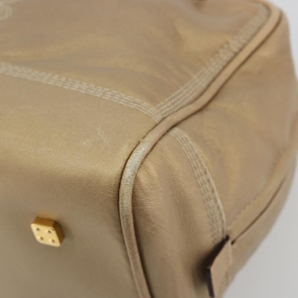 Loewe Amazona Leather Gold Leather Handbag (Pre-Owned)