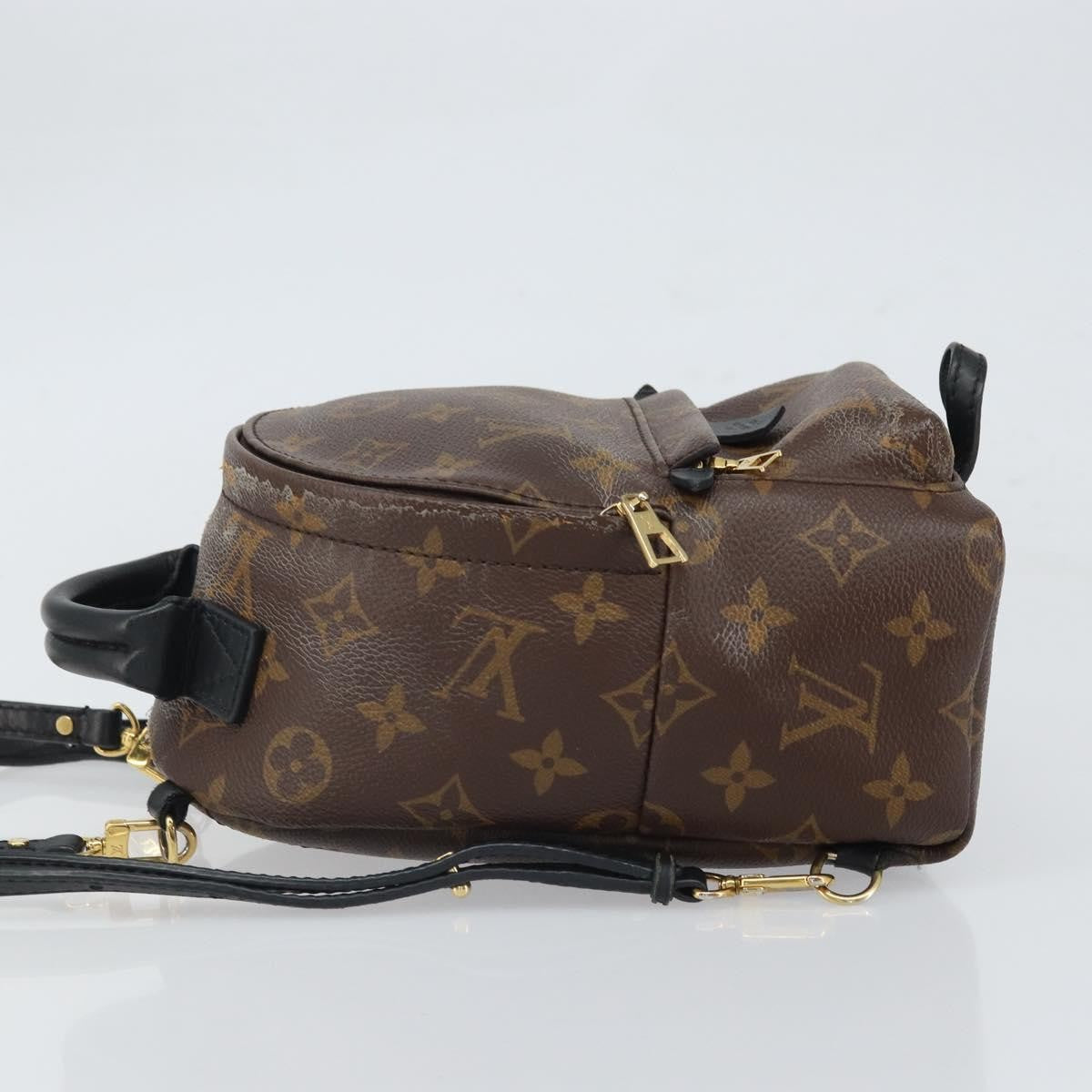 Louis Vuitton Palm Springs Monogram Canvas Brown Canvas Backpack Bag (Pre-Owned)