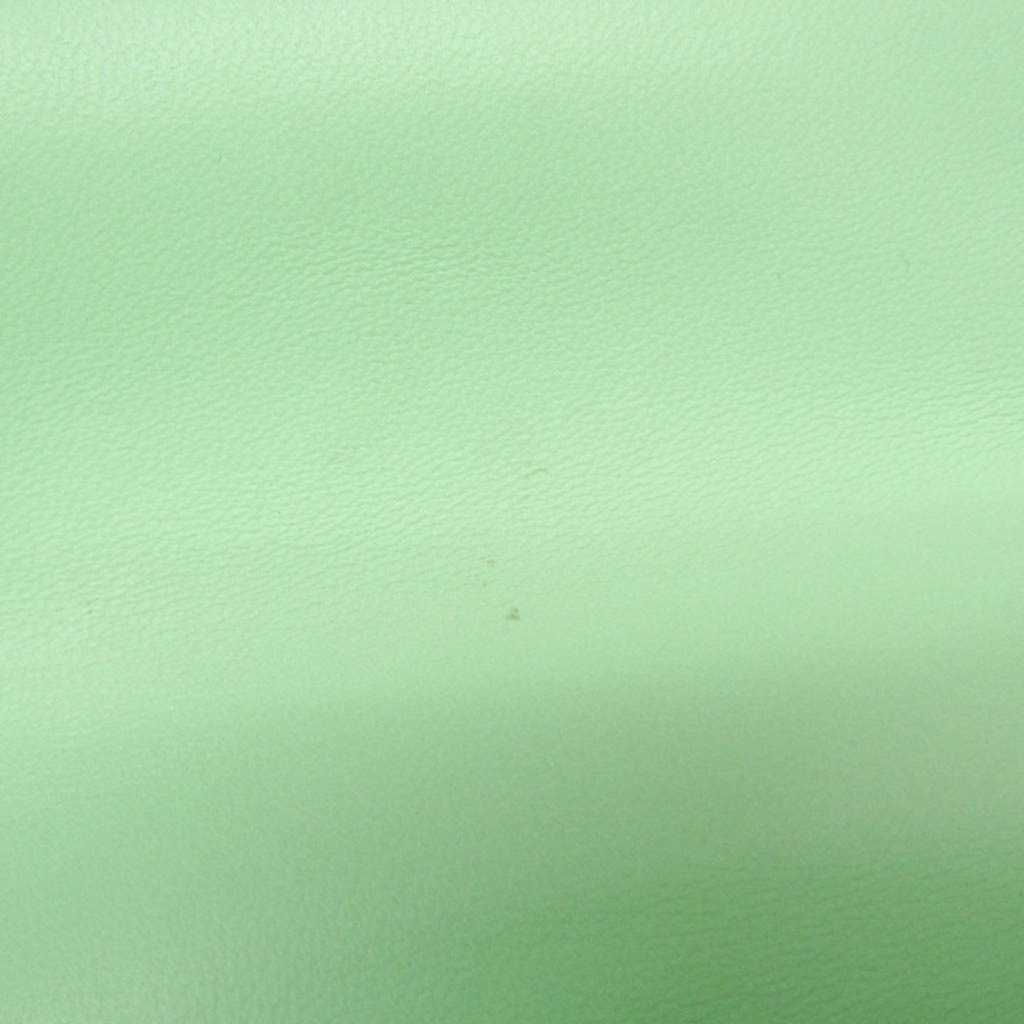 Bottega Veneta Mount Leather Green Leather Shoulder Bag Bag (Pre-Owned)