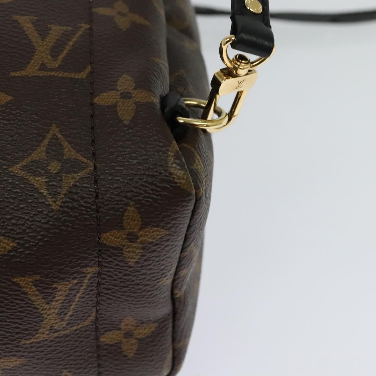 Louis Vuitton Palm Springs Monogram Canvas Brown Canvas Backpack Bag (Pre-Owned)