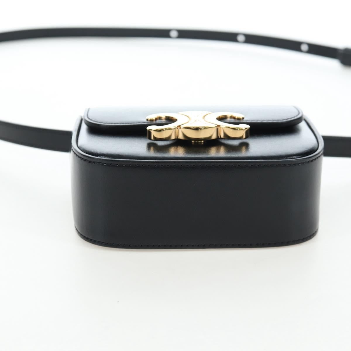 Celine Triomphe Smooth Calfskin Black Leather Shoulder Bag Bag (Pre-Owned)