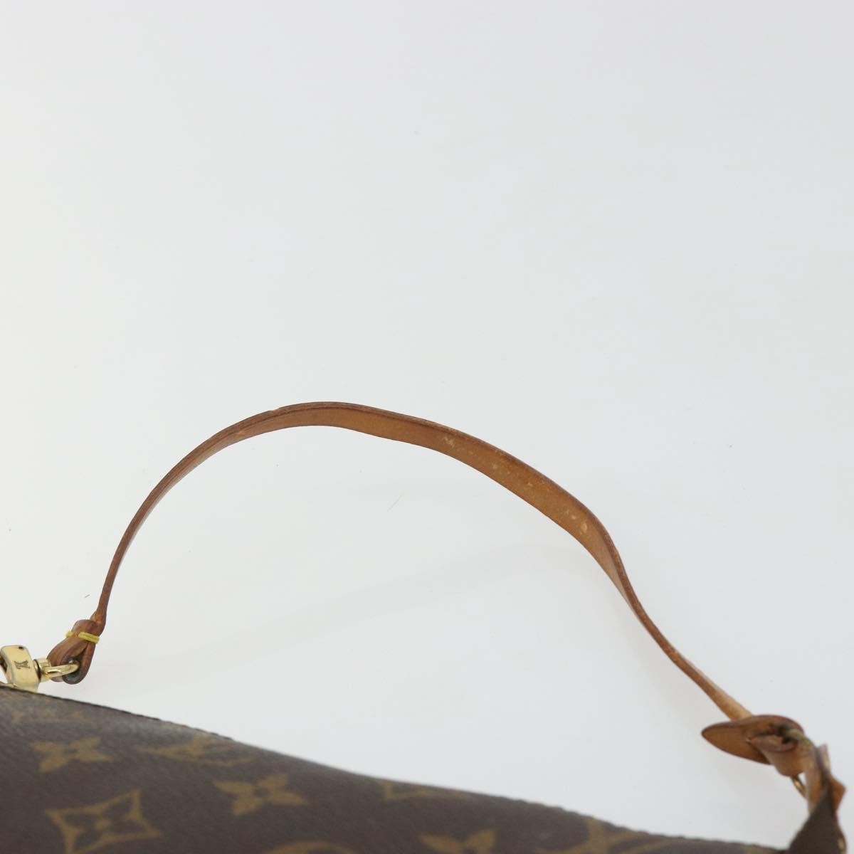 Louis Vuitton Pochette Accessoires Nm Monogram Canvas Brown Canvas Clutche & Pouche Bag (Pre-Owned)