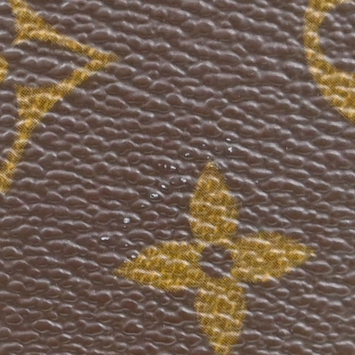 Louis Vuitton Speedy Monogram Canvas Brown Canvas Handbag (Pre-Owned)