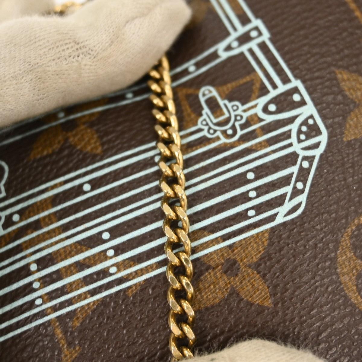 Louis Vuitton Pochette Accessoires Limited Edition Monogram Canvas Brown Canvas Clutche & Pouche Bag (Pre-Owned)