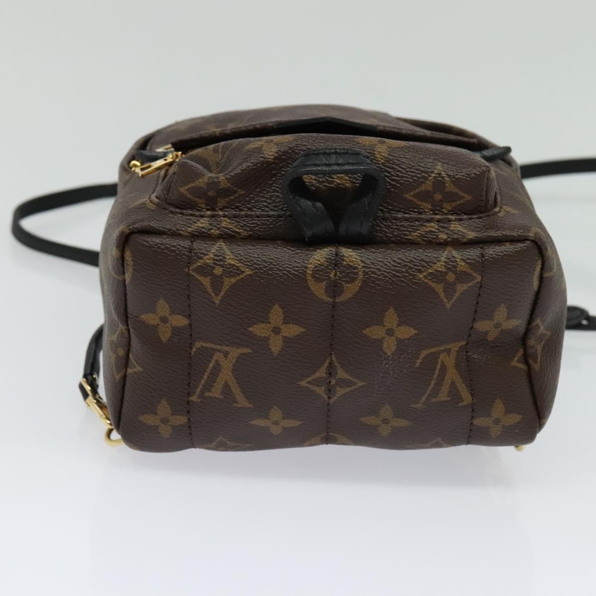 Louis Vuitton Palm Springs Monogram Canvas Brown Canvas Backpack Bag (Pre-Owned)
