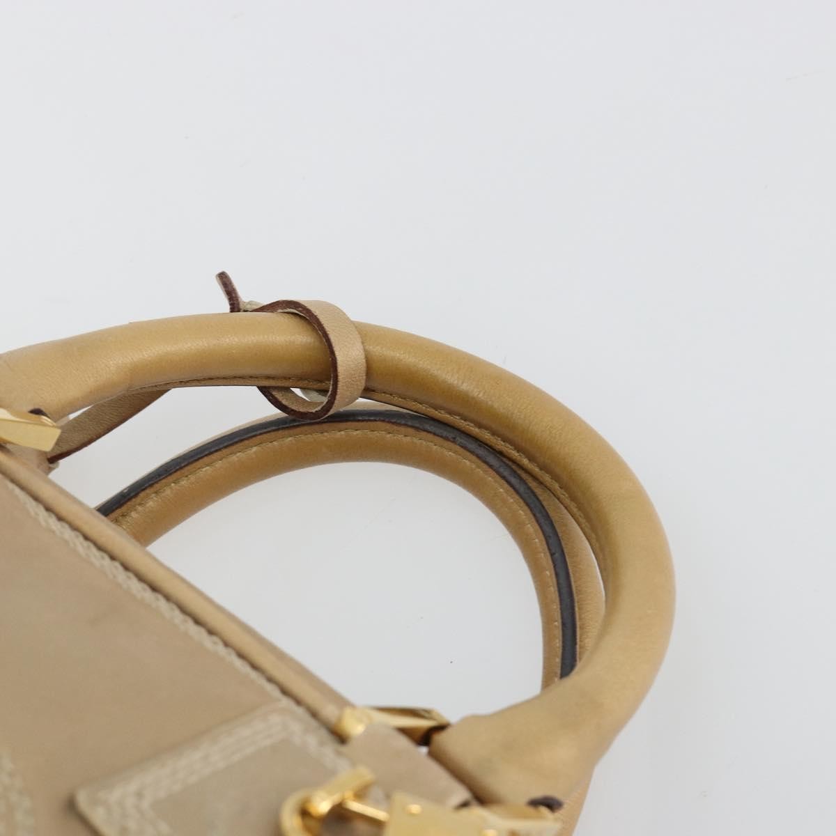 Loewe Amazona Leather Gold Leather Handbag (Pre-Owned)