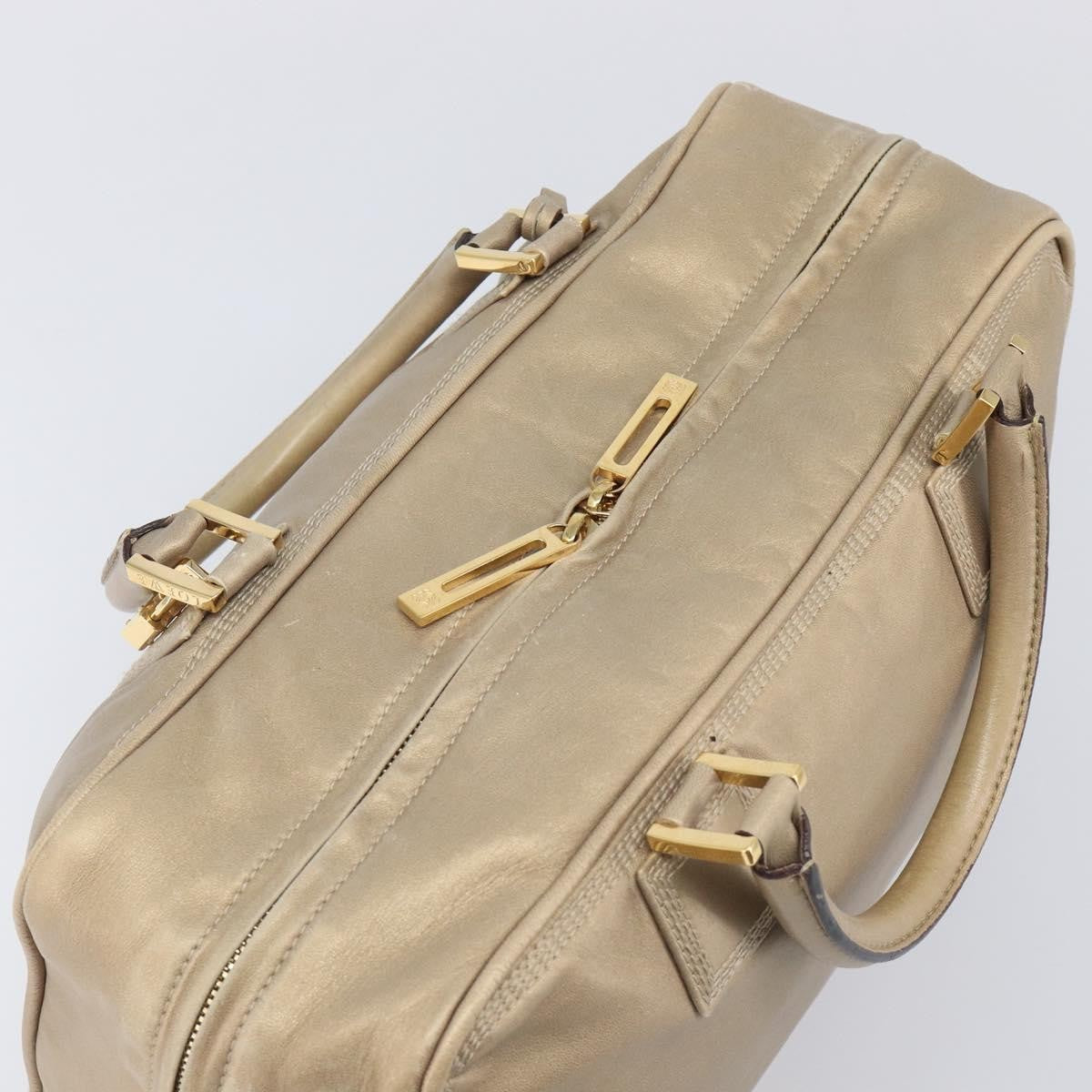 Loewe Amazona Leather Gold Leather Handbag (Pre-Owned)