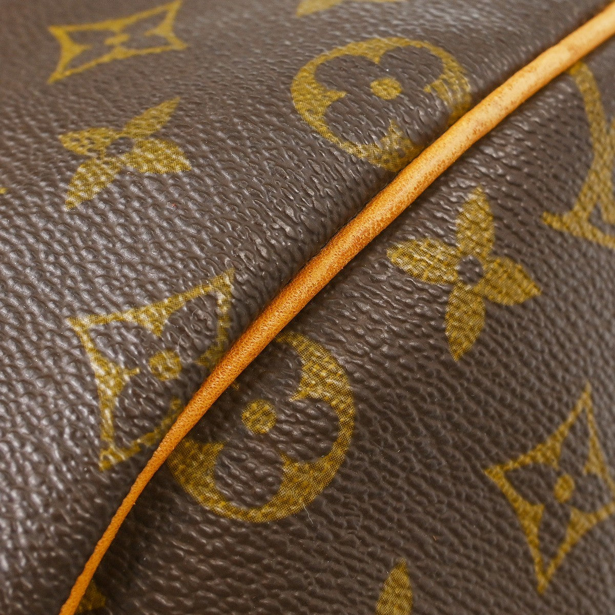 Louis Vuitton Speedy Monogram Canvas Brown Canvas Handbag (Pre-Owned)
