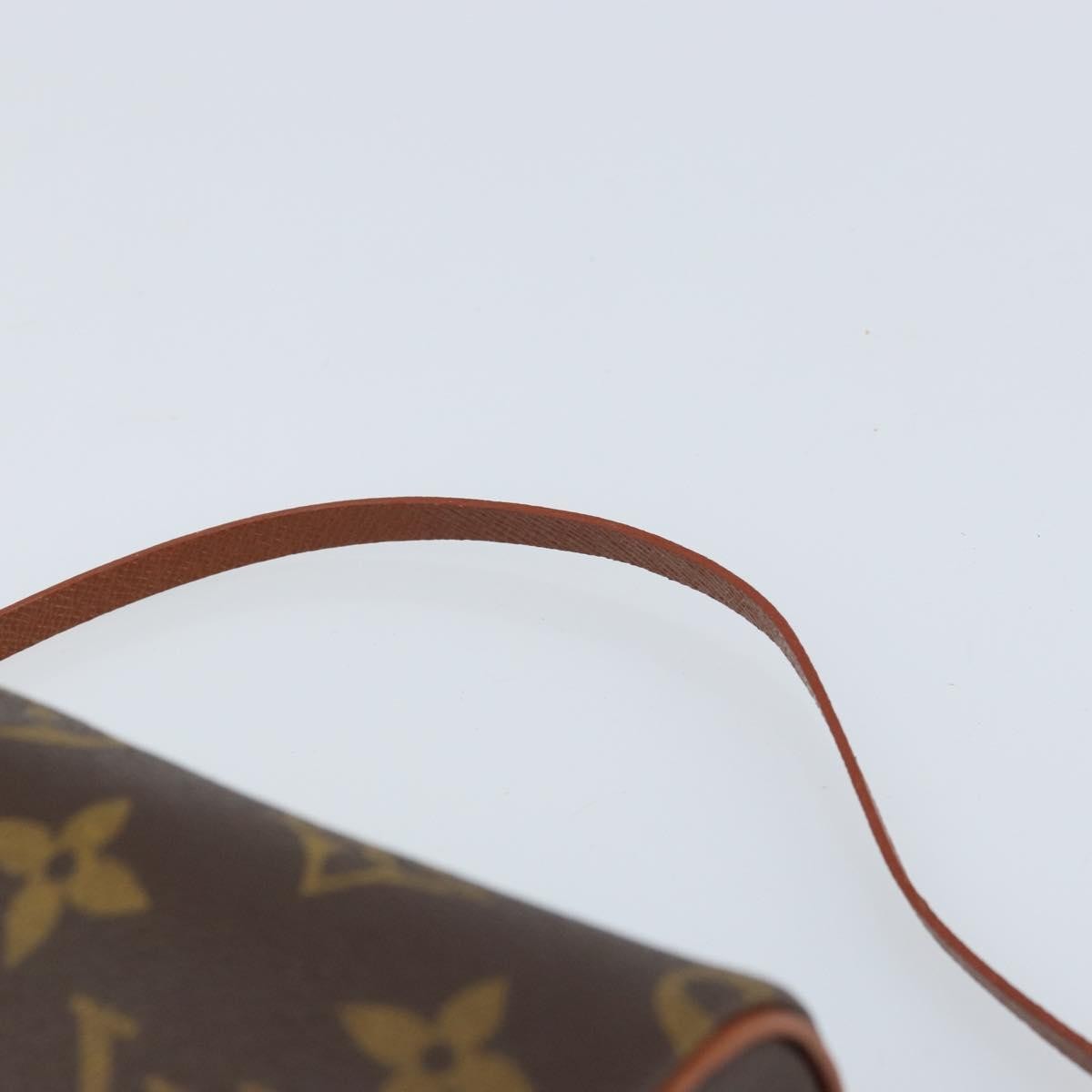 Louis Vuitton Papillon Pochette Monogram Canvas Brown Canvas Clutche & Pouche Bag (Pre-Owned)