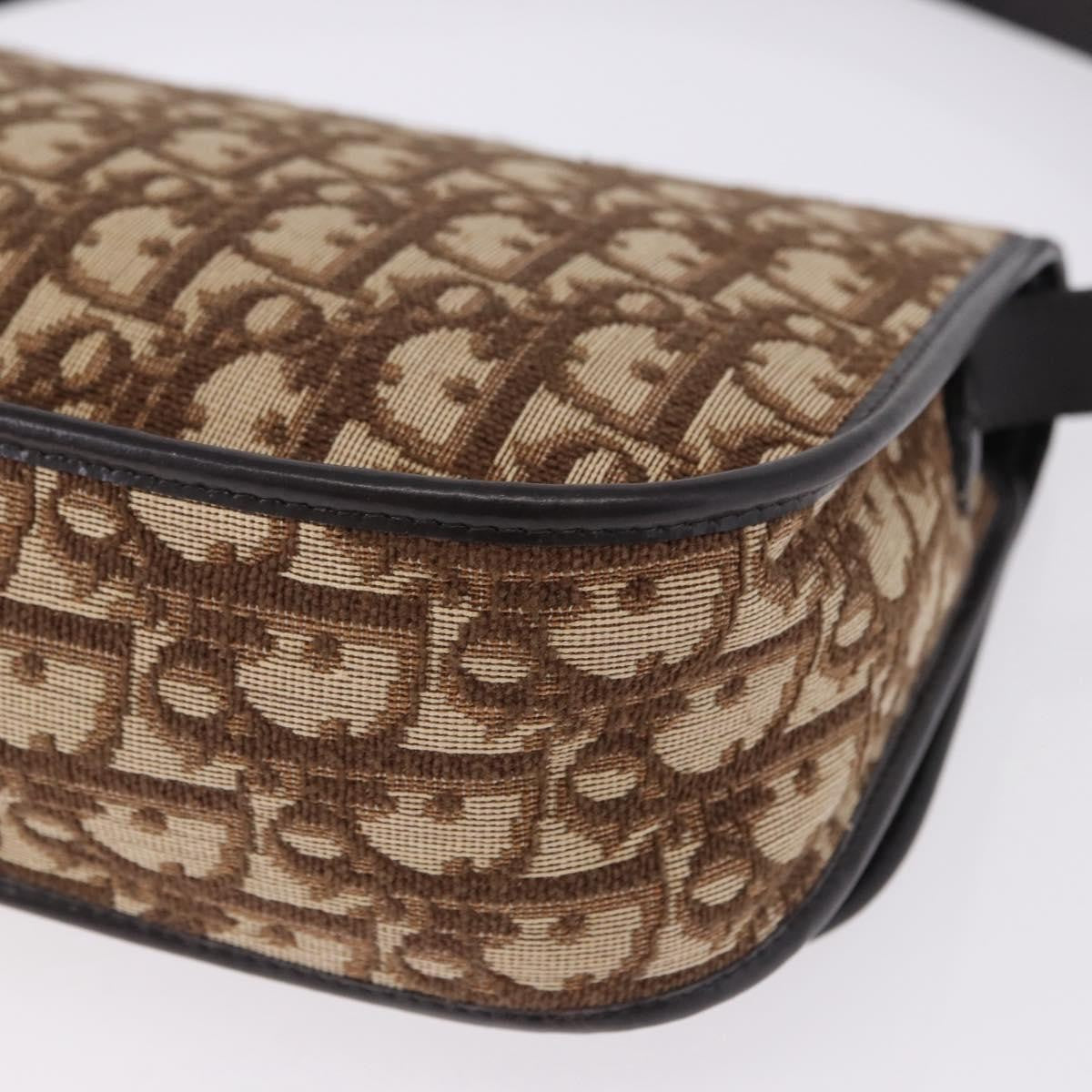 Christian Dior Trotter Shoulder Bag Sequins Beige Canvas Shoulder Bag Bag (Pre-Owned)