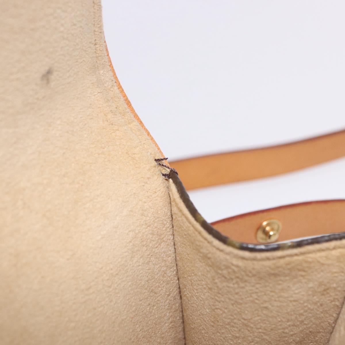 Louis Vuitton Florentine Waist Monogram Canvas Brown Canvas Clutche & Pouche Bag (Pre-Owned)