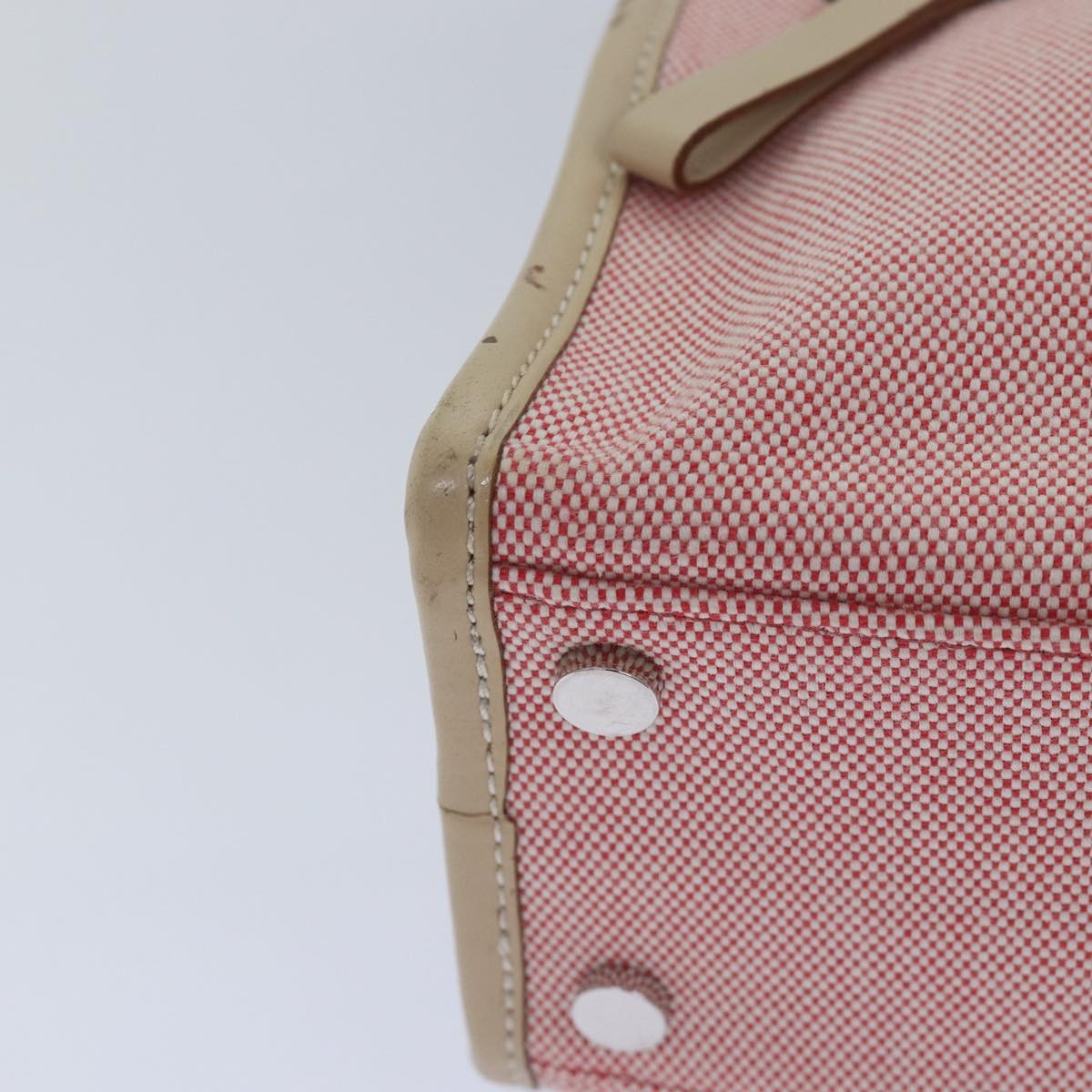 Burberry Blue Label Canvas Pink Canvas Handbag (Pre-Owned)