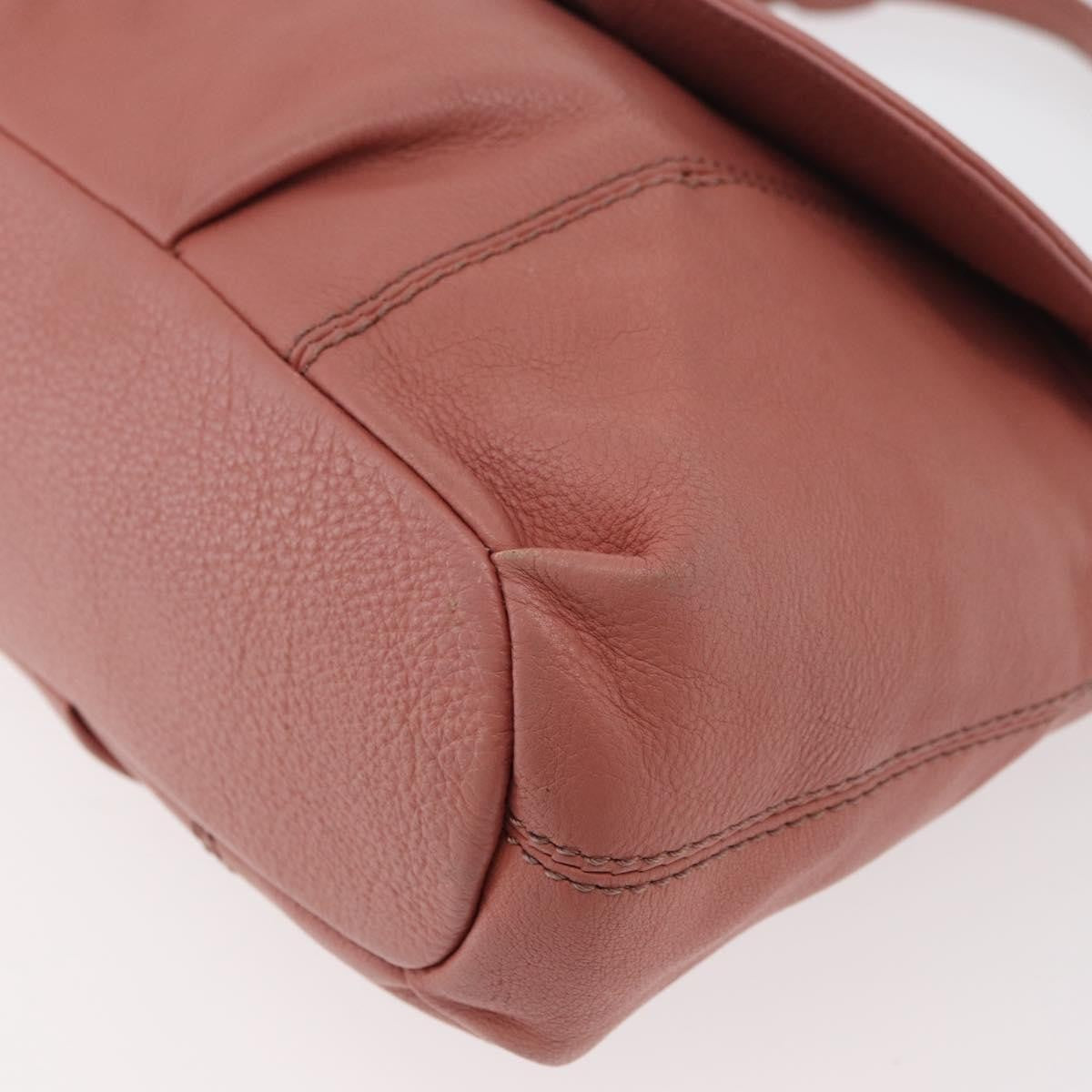 Burberry Blue Label Nylon Pink Leather Shoulder Bag Bag (Pre-Owned)