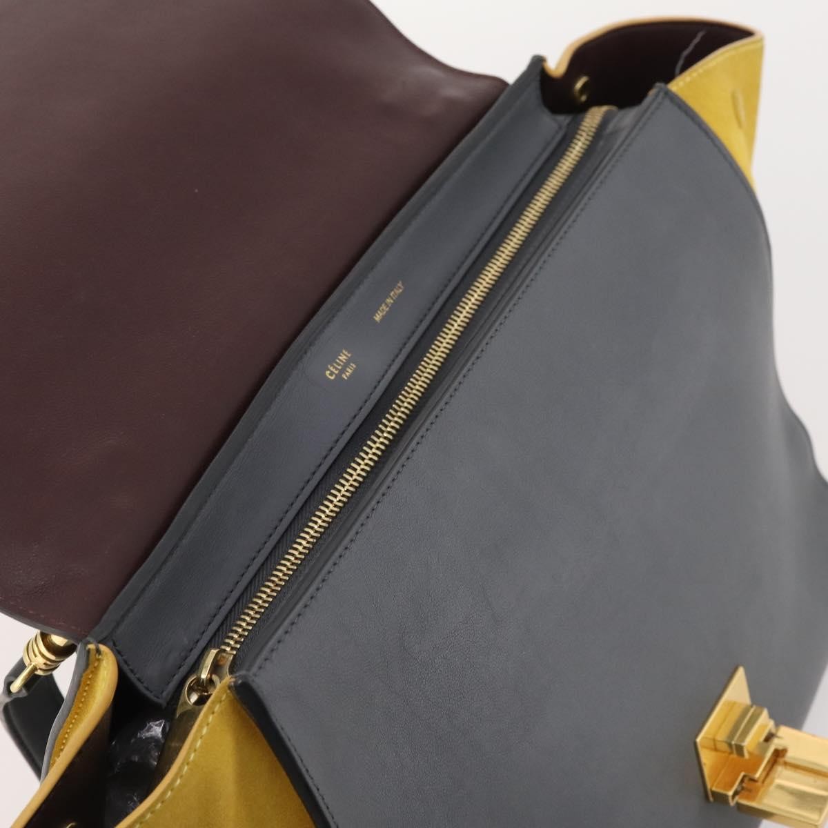 Celine Tricolor Trapeze Leather Multicolour Leather Handbag (Pre-Owned)