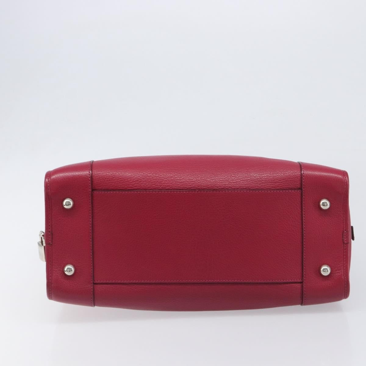 Loewe Amazona Leather Red Leather Handbag (Pre-Owned)