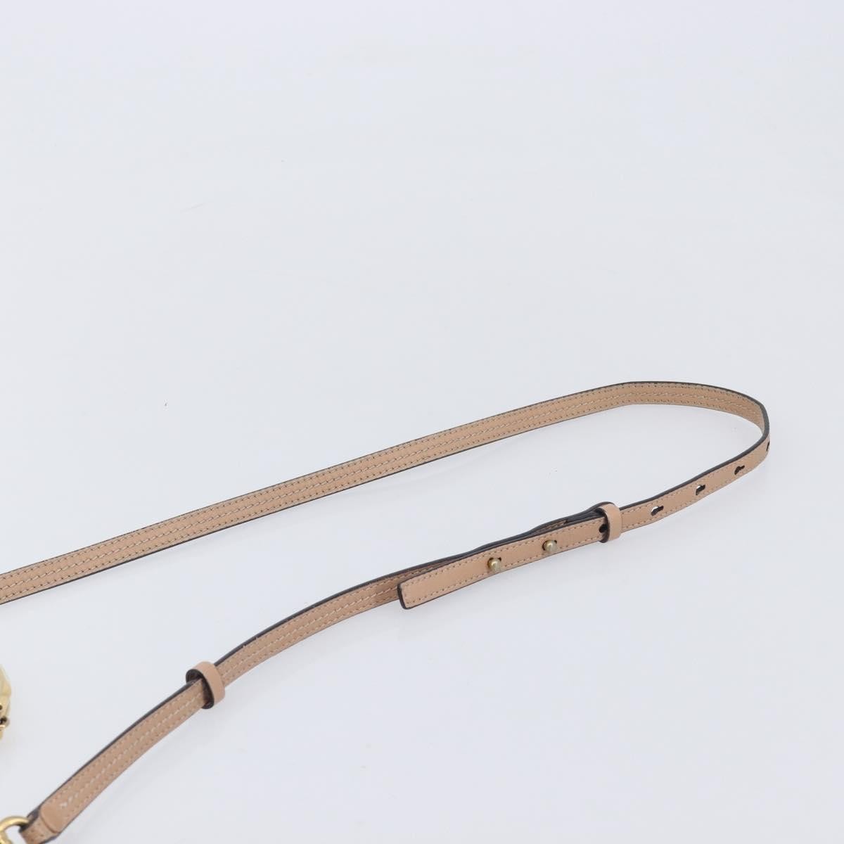 Chloe Nile Leather Pink Leather Crossbody Bag Bag (Pre-Owned)