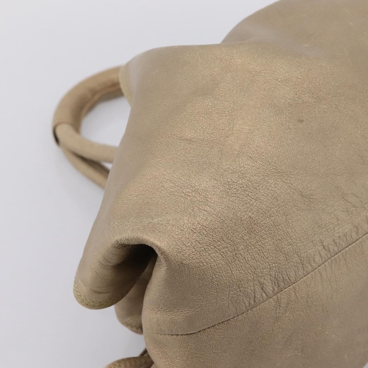 Loewe Aire Leather Gold Leather Shoulder Bag Bag (Pre-Owned)