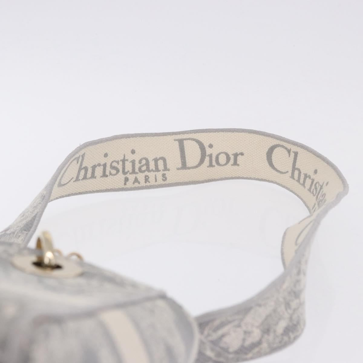 Christian Dior Lady Dior Embroidered Canvas Gray Canvas Handbag (Pre-Owned)