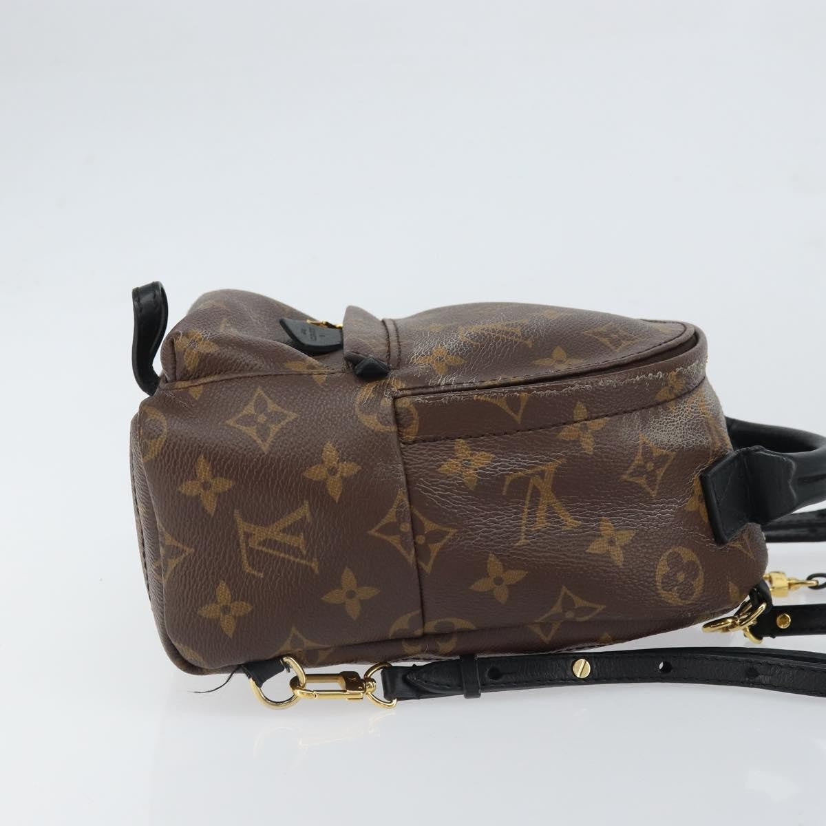 Louis Vuitton Palm Springs Monogram Canvas Brown Canvas Backpack Bag (Pre-Owned)