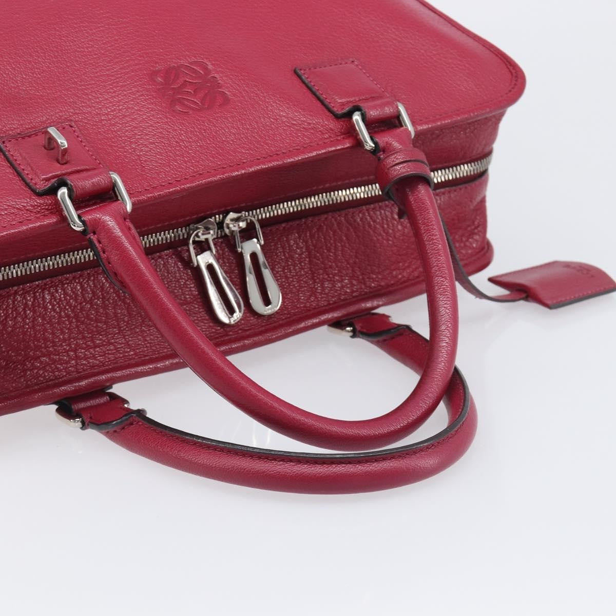 Loewe Amazona Leather Red Leather Handbag (Pre-Owned)