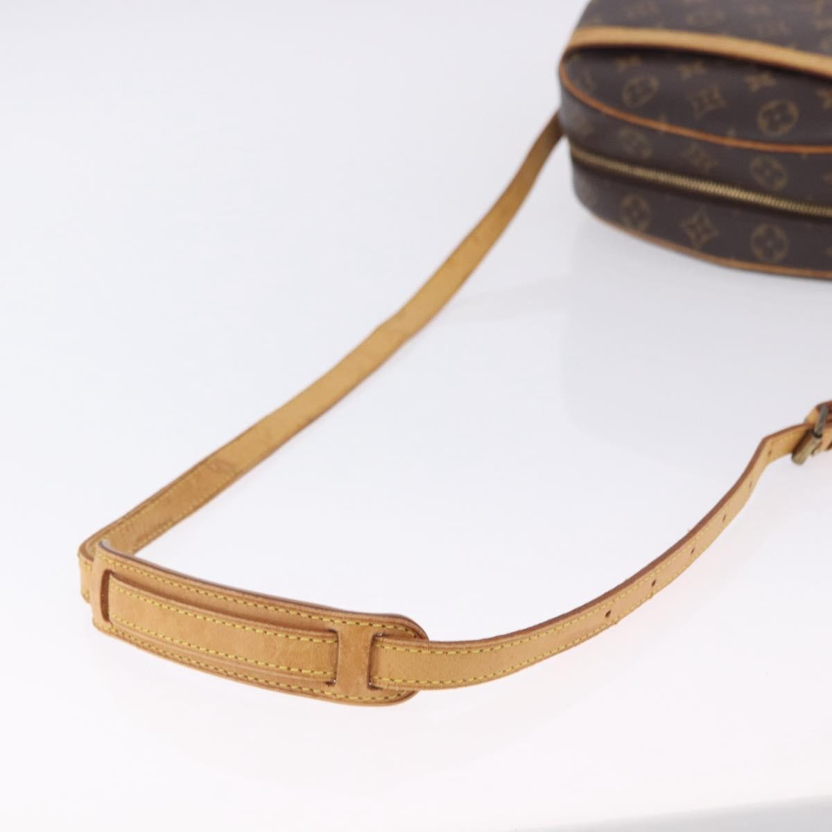 Louis Vuitton Blois Monogram Canvas Brown Canvas Shoulder Bag Bag (Pre-Owned)