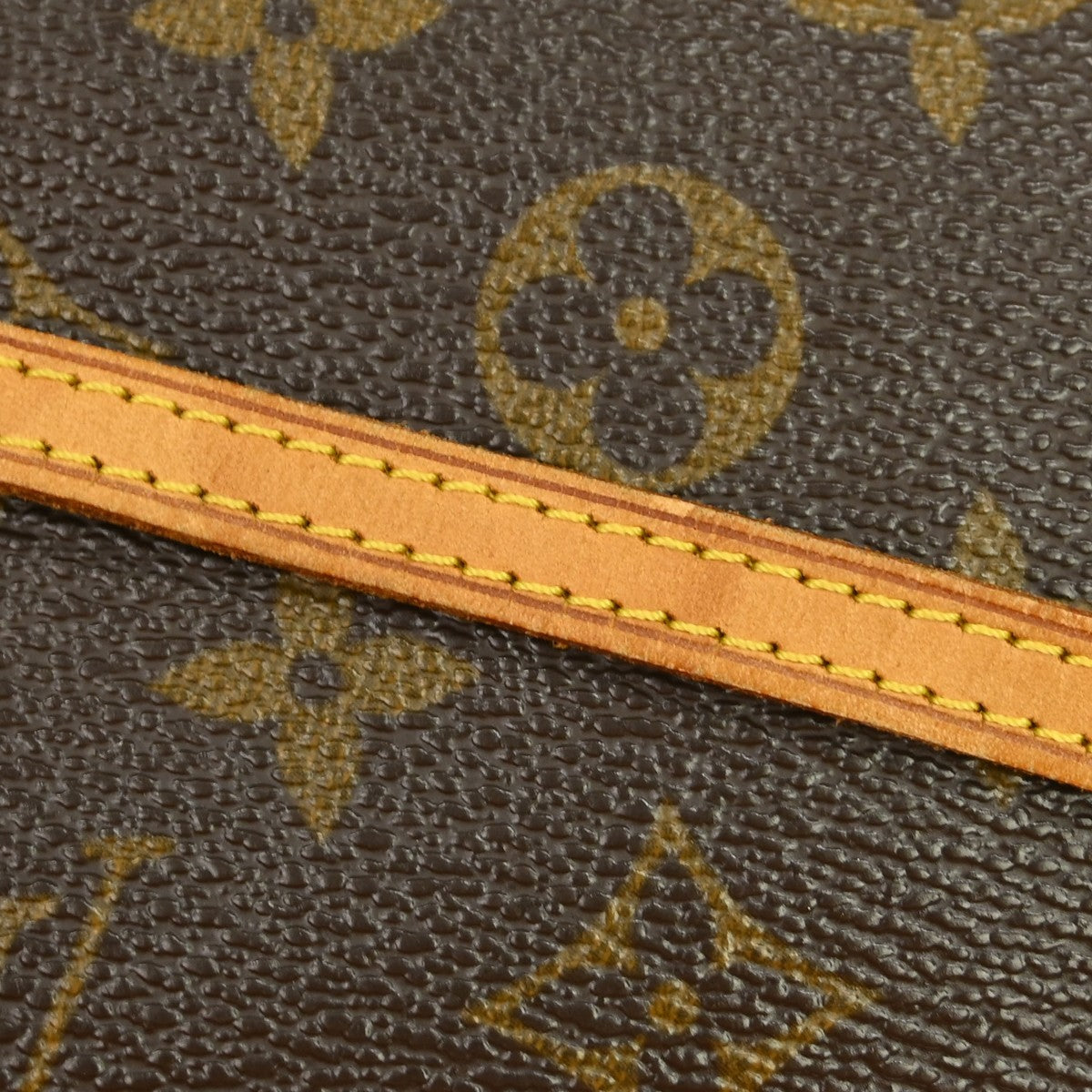 Louis Vuitton Twin Monogram Canvas Brown Canvas Clutche & Pouche Bag (Pre-Owned)