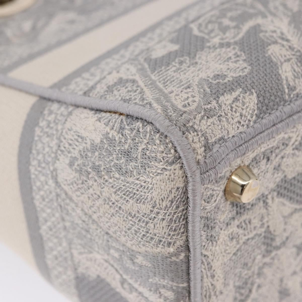 Christian Dior Lady Dior Embroidered Canvas Gray Canvas Handbag (Pre-Owned)