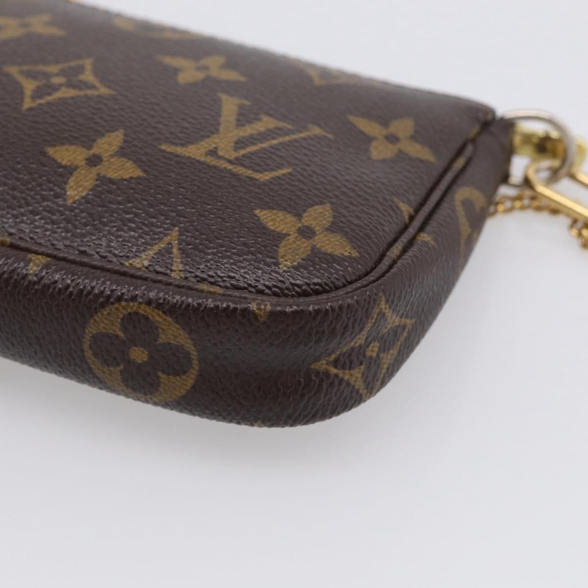 Louis Vuitton Pochette Accessoires Limited Edition Monogram Canvas Brown Canvas Clutche & Pouche Bag (Pre-Owned)